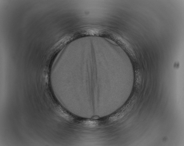 X0000097630313200803281106