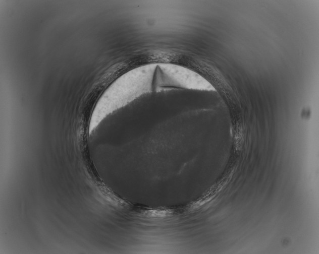 X0000097630314200803281106