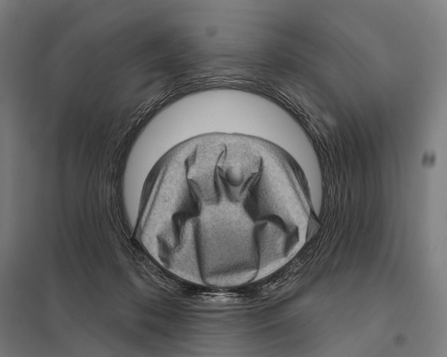 X0000097630316200803281106