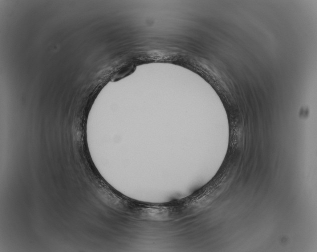X0000097630317200803281106