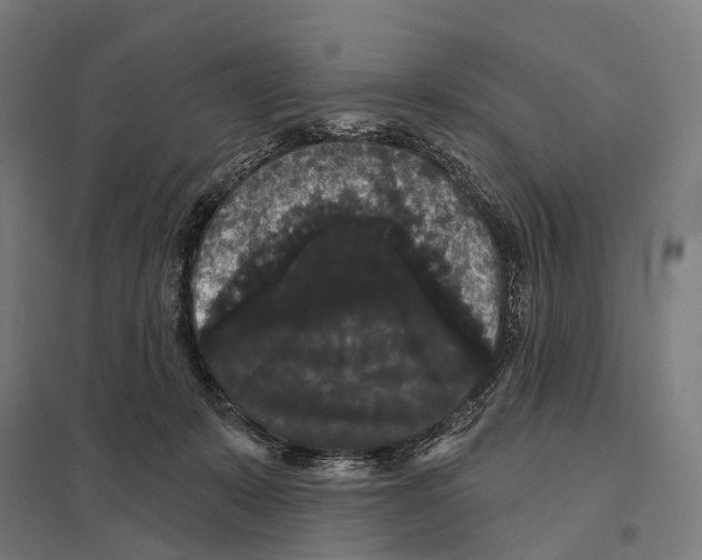 X0000097630319200803281106