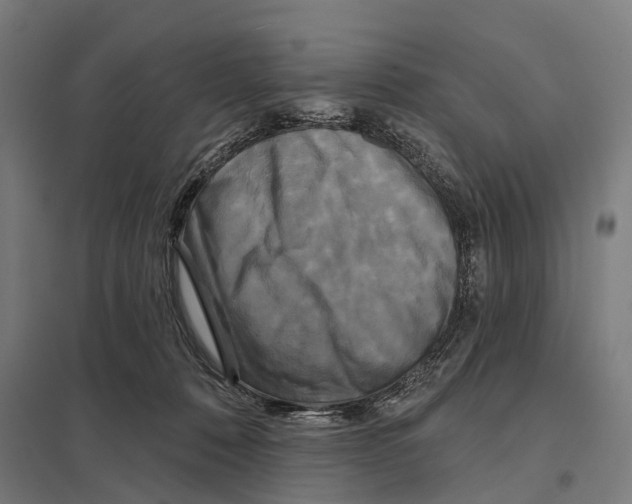 X0000097630320200803281106