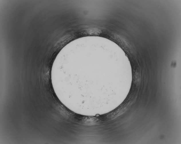 X0000097630321200803281106