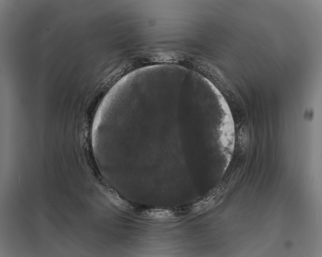 X0000097630322200803281106