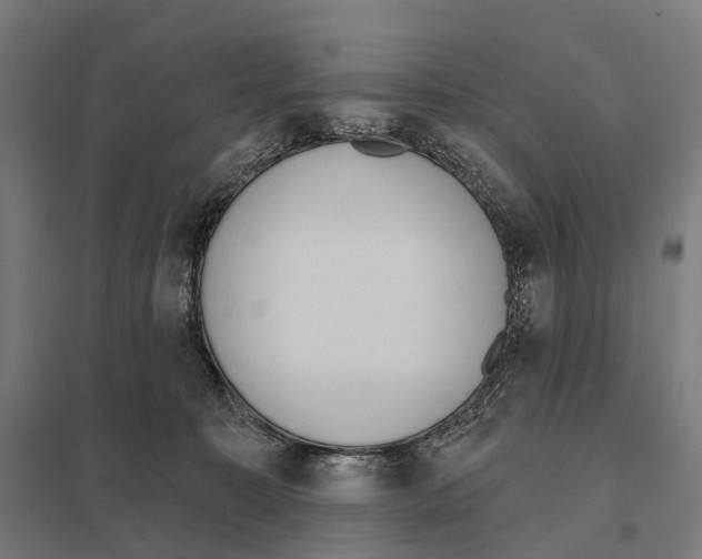 X0000097630323200803281106
