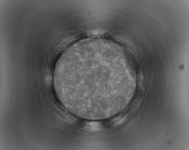X0000097630324200803281106