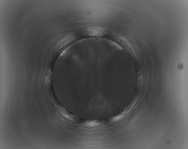 X0000097630325200803281106