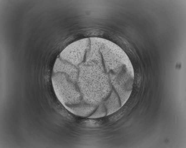 X0000097630326200803281106