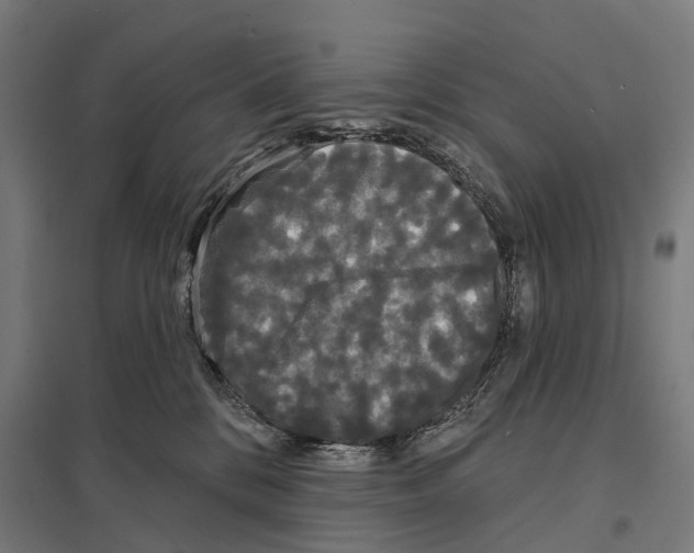 X0000097630328200803281106