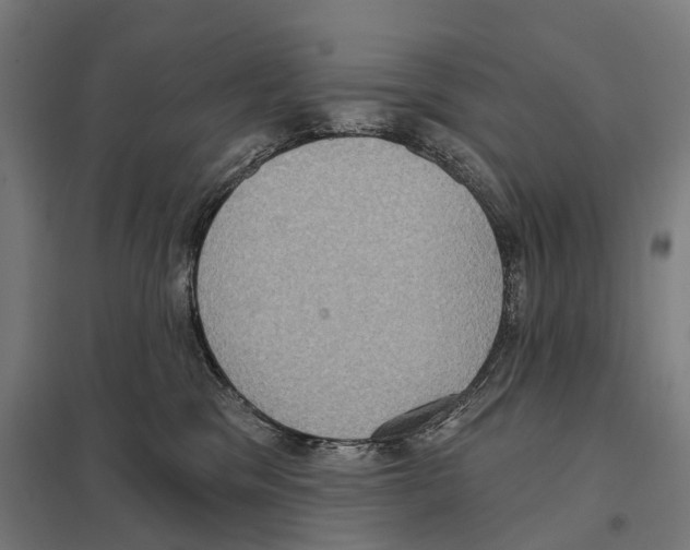 X0000097630329200803281106