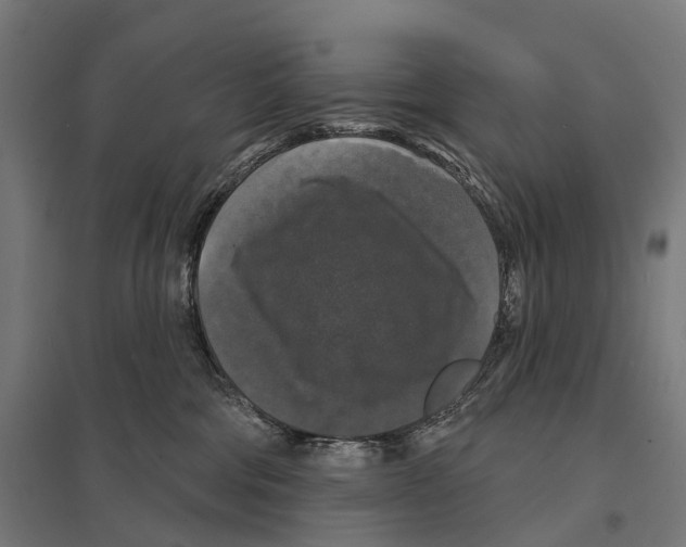 X0000097630330200803281106