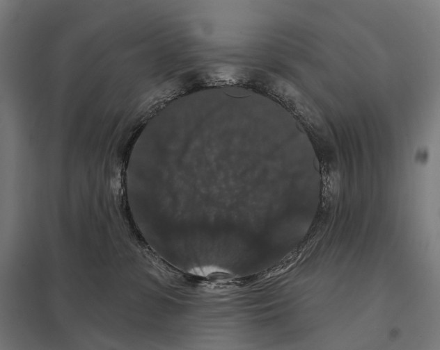 X0000097630331200803281106
