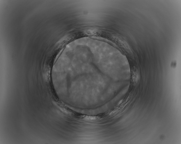 X0000097630332200803281106