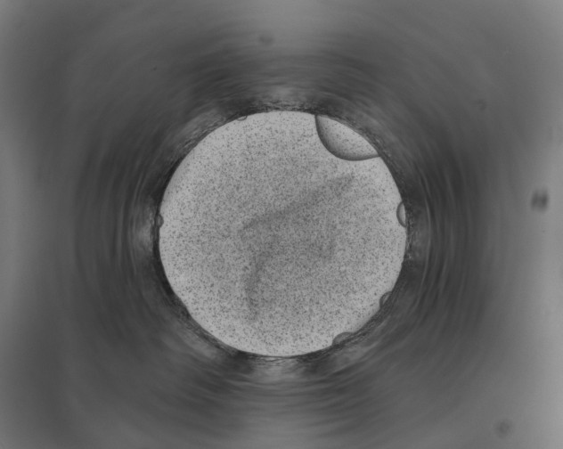 X0000097630334200803281106