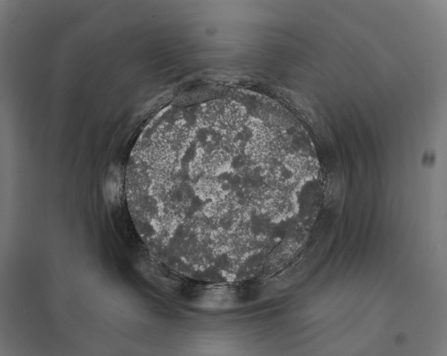 X0000097630335200803281106