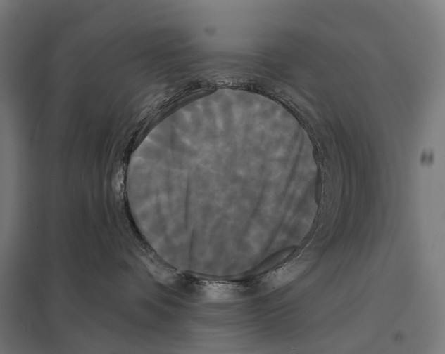 X0000097630336200803281106