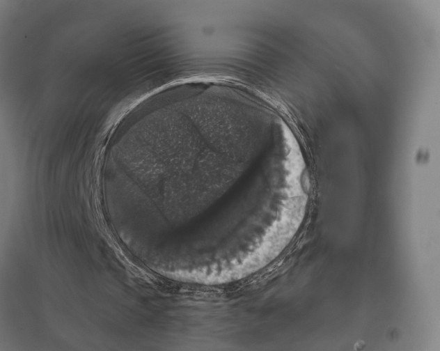 X0000097630337200803281105