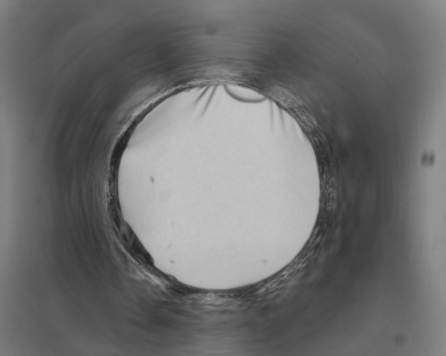 X0000097630338200803281105