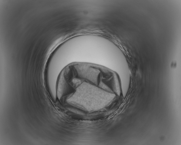 X0000097630340200803281105
