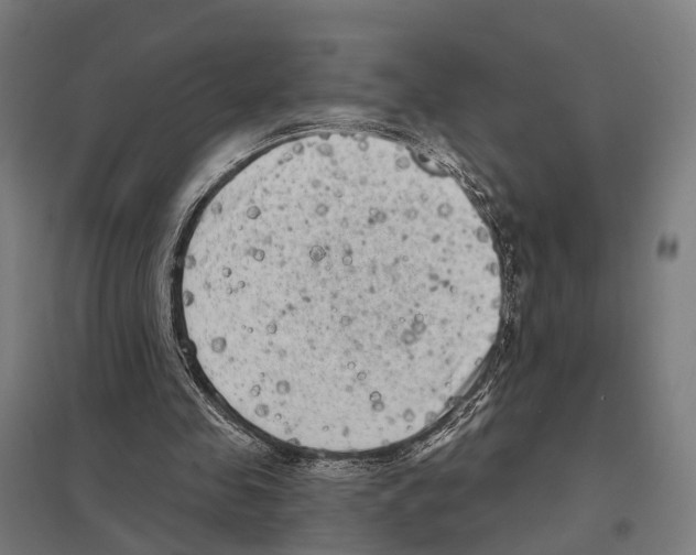 X0000097630341200803281105