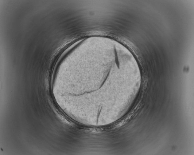 X0000097630345200803281106