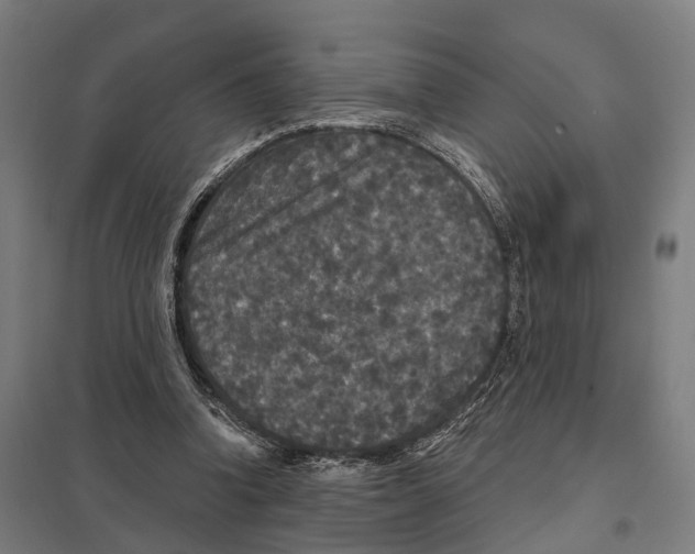 X0000097630346200803281106