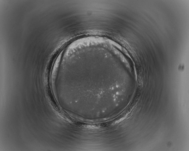 X0000097630347200803281106