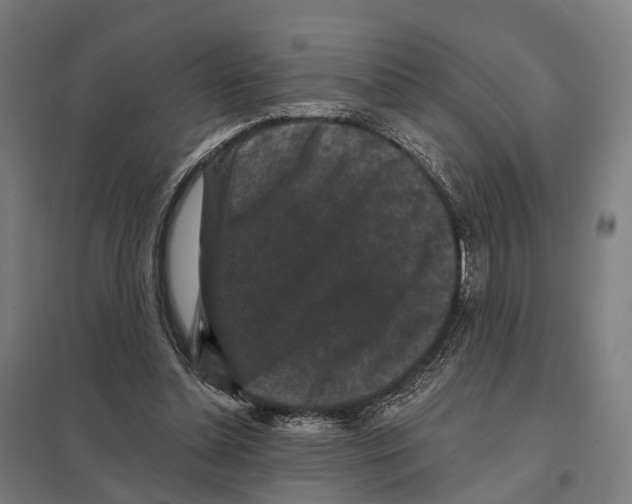 X0000097630348200803281106