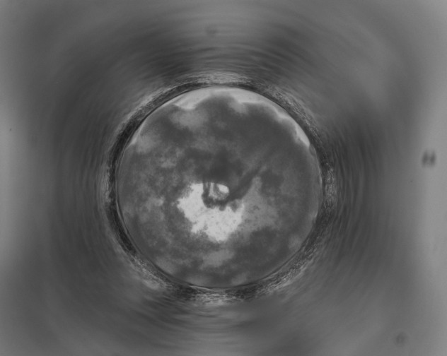 X0000097630351200803281106