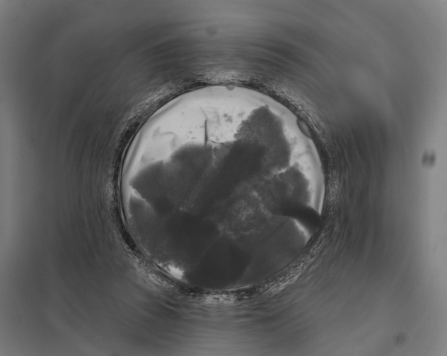 X0000097630353200803281106