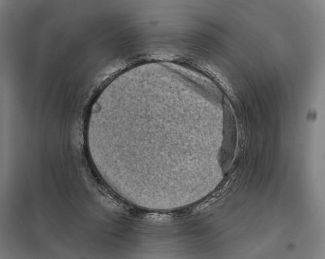 X0000097630354200803281106