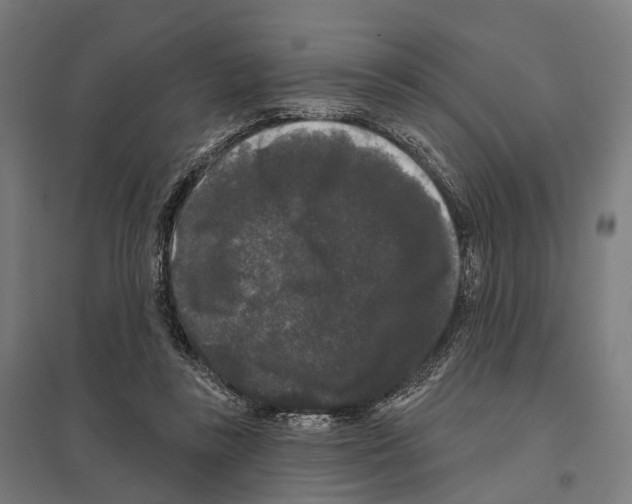 X0000097630355200803281106