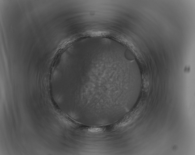 X0000097630357200803281106