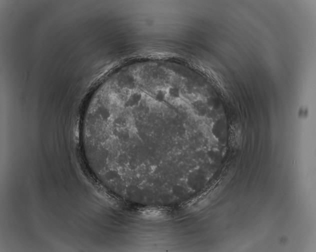 X0000097630358200803281106