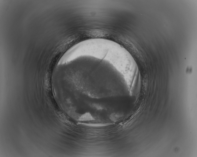 X0000097630359200803281106