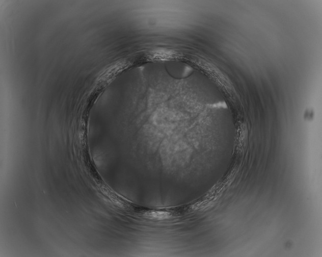 X0000097630361200803281106