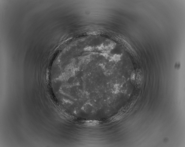 X0000097630363200803281106