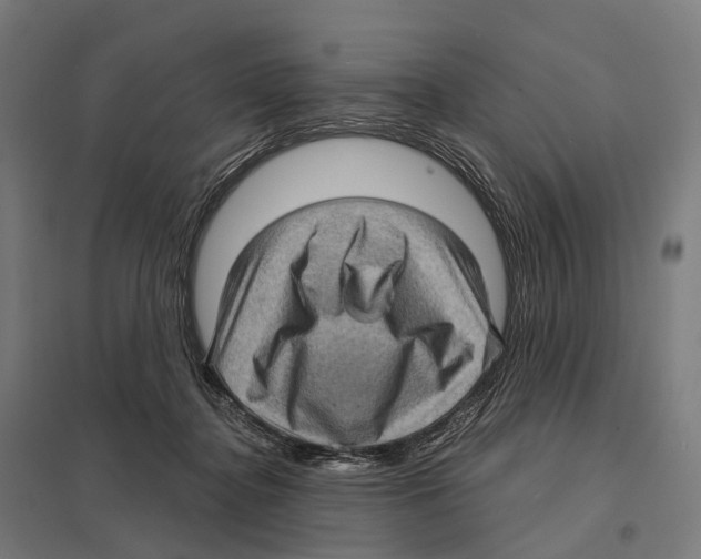 X0000097630364200803281106