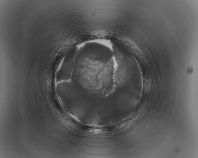 X0000097630365200803281106