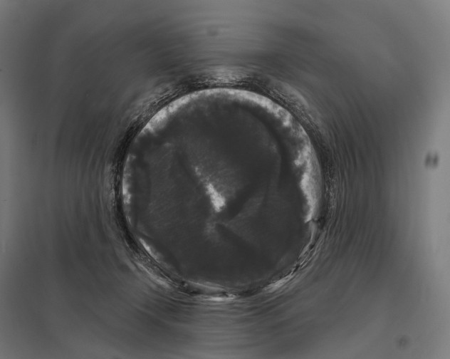 X0000097630366200803281106