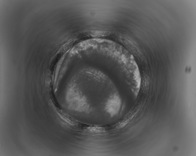 X0000097630367200803281106