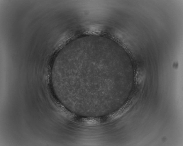 X0000097630370200803281106