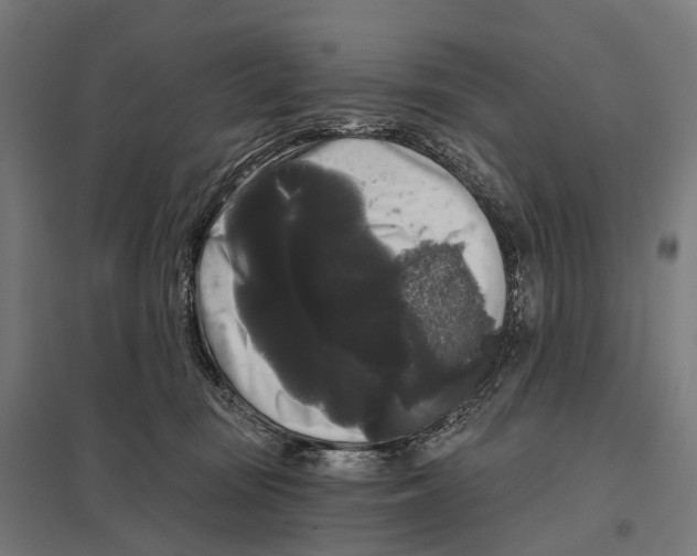 X0000097630371200803281106