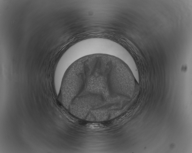 X0000097630372200803281106