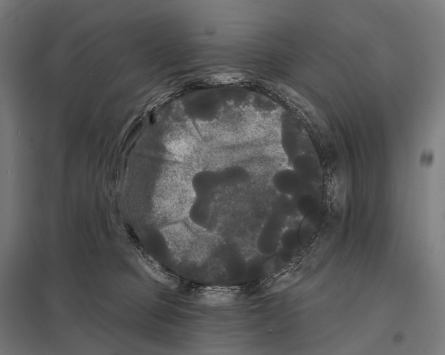 X0000097630373200803281106
