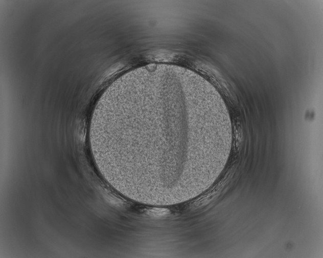 X0000097630374200803281106