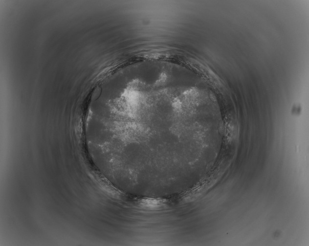X0000097630375200803281106