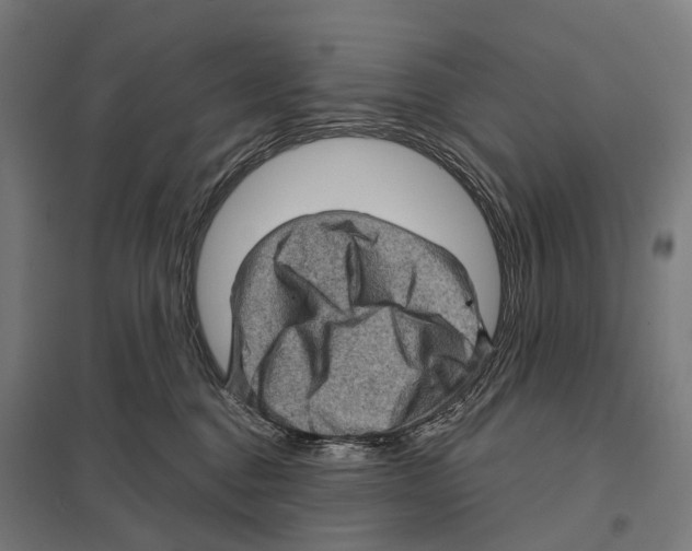 X0000097630376200803281106