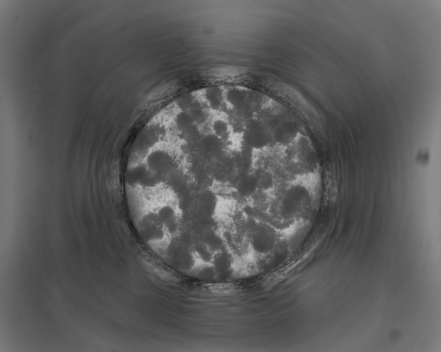 X0000097630377200803281106