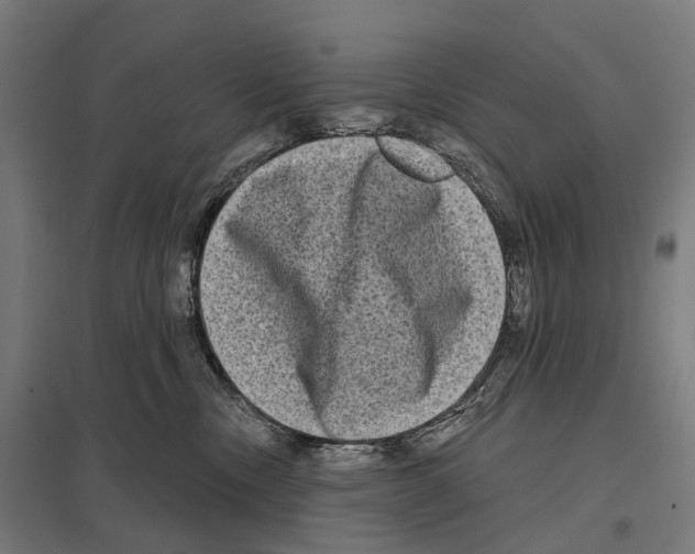 X0000097630378200803281106